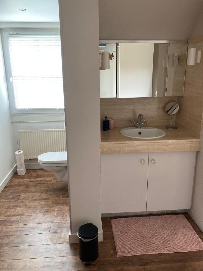 Rustig Appartement In Het Groen Met Terras Kontich エクステリア 写真