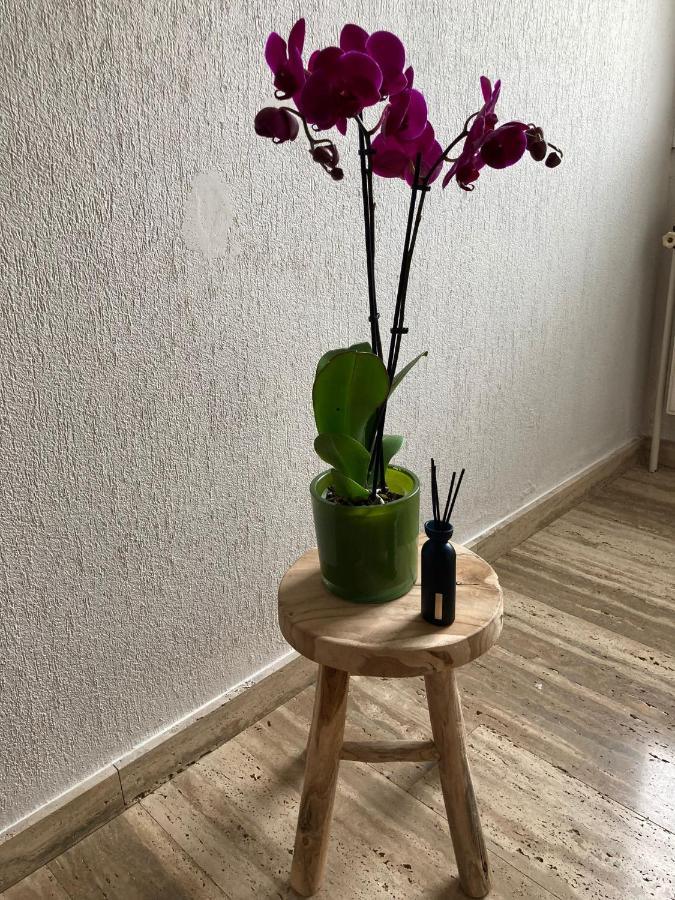 Rustig Appartement In Het Groen Met Terras Kontich エクステリア 写真